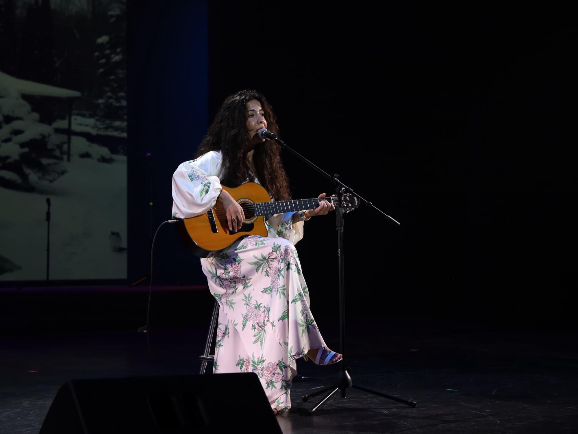 Guitar Performance